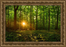 Load image into Gallery viewer, Sacred Morning