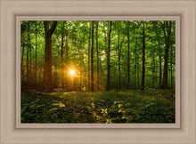 Load image into Gallery viewer, Sacred Morning
