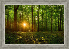 Load image into Gallery viewer, Sacred Morning