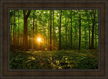 Load image into Gallery viewer, Sacred Morning