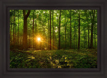 Load image into Gallery viewer, Sacred Morning
