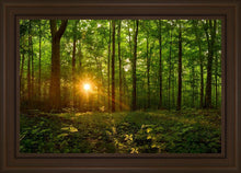 Load image into Gallery viewer, Sacred Morning