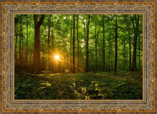 Load image into Gallery viewer, Sacred Morning
