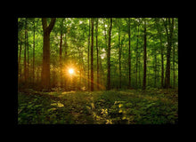 Load image into Gallery viewer, Sacred Morning