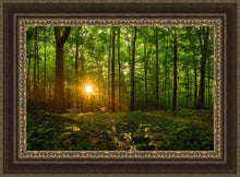 Load image into Gallery viewer, Sacred Morning