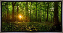 Load image into Gallery viewer, Sacred Morning