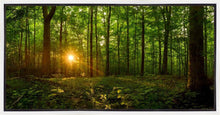 Load image into Gallery viewer, Sacred Morning
