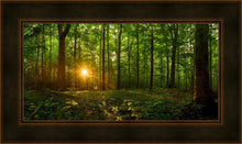Load image into Gallery viewer, Sacred Morning