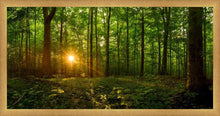 Load image into Gallery viewer, Sacred Morning