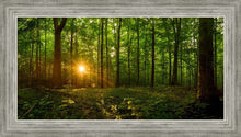 Load image into Gallery viewer, Sacred Morning