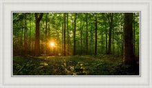 Load image into Gallery viewer, Sacred Morning