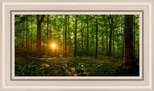 Load image into Gallery viewer, Sacred Morning