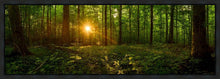 Load image into Gallery viewer, Sacred Morning