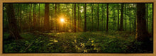 Load image into Gallery viewer, Sacred Morning