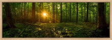 Load image into Gallery viewer, Sacred Morning