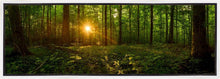 Load image into Gallery viewer, Sacred Morning