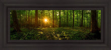 Load image into Gallery viewer, Sacred Morning