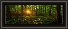 Load image into Gallery viewer, Sacred Morning