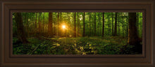 Load image into Gallery viewer, Sacred Morning