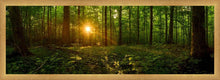 Load image into Gallery viewer, Sacred Morning