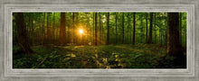 Load image into Gallery viewer, Sacred Morning