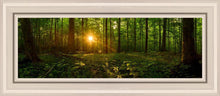 Load image into Gallery viewer, Sacred Morning
