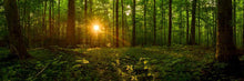 Load image into Gallery viewer, Sacred Morning