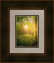 Load image into Gallery viewer, Sweet Hour of Prayer