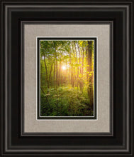 Load image into Gallery viewer, Sweet Hour of Prayer
