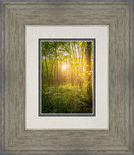 Load image into Gallery viewer, Sweet Hour of Prayer