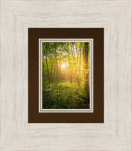 Load image into Gallery viewer, Sweet Hour of Prayer