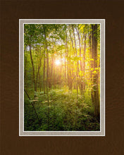 Load image into Gallery viewer, Sweet Hour of Prayer