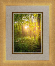Load image into Gallery viewer, Sweet Hour of Prayer