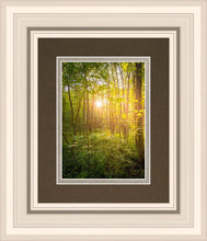 Load image into Gallery viewer, Sweet Hour of Prayer