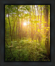 Load image into Gallery viewer, Sweet Hour of Prayer
