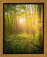 Load image into Gallery viewer, Sweet Hour of Prayer