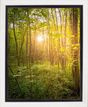 Load image into Gallery viewer, Sweet Hour of Prayer