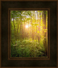 Load image into Gallery viewer, Sweet Hour of Prayer
