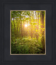 Load image into Gallery viewer, Sweet Hour of Prayer