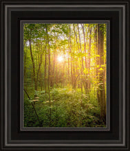 Load image into Gallery viewer, Sweet Hour of Prayer
