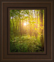 Load image into Gallery viewer, Sweet Hour of Prayer