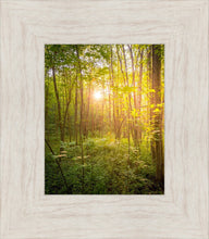 Load image into Gallery viewer, Sweet Hour of Prayer