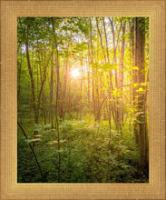 Load image into Gallery viewer, Sweet Hour of Prayer