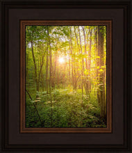 Load image into Gallery viewer, Sweet Hour of Prayer