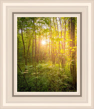 Load image into Gallery viewer, Sweet Hour of Prayer
