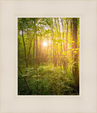 Load image into Gallery viewer, Sweet Hour of Prayer