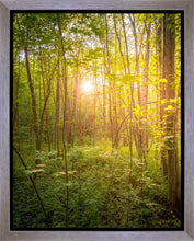Load image into Gallery viewer, Sweet Hour of Prayer