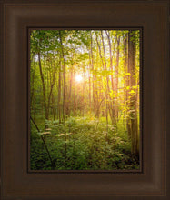 Load image into Gallery viewer, Sweet Hour of Prayer