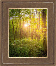 Load image into Gallery viewer, Sweet Hour of Prayer