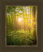 Load image into Gallery viewer, Sweet Hour of Prayer